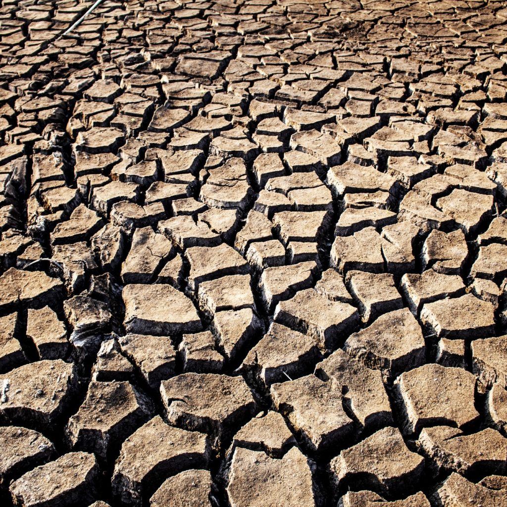 Ground of cracked with texture