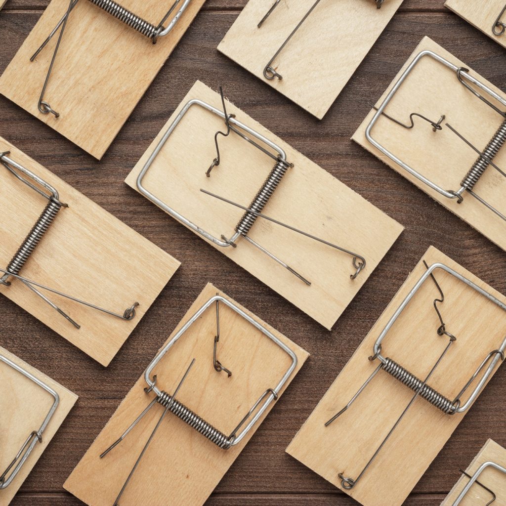 Many Mousetraps On The Wooden Background